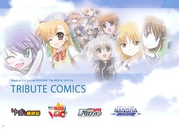 Обложка «Magical Girl Lyrical Nanoha the Movie 2nd A's Tribute Comics»