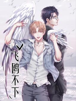 Обложка «Flying Gulls Never Land»