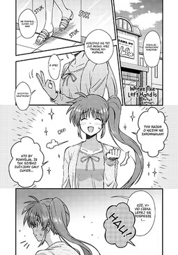 Обложка «Mahou Shoujo Lyrical Nanoha - Where The Left Hand Is (Doujinshi)»