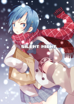 Обложка «Mahou Shoujo Madoka★Magica - Silent Night (Doujinshi)»