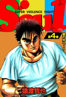 Обложка «SOUL (SARUWATARI Tetsuya)»