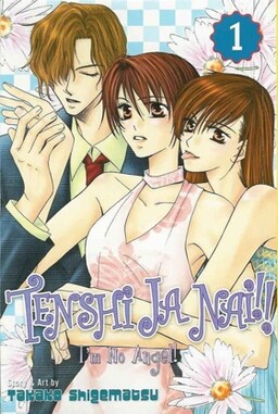 Обложка «Tenshi ja Nai!!»