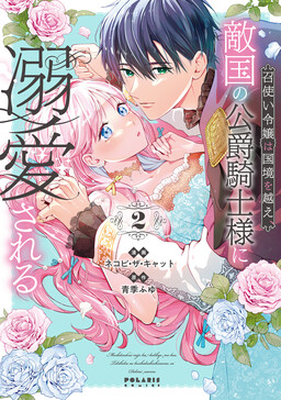 Обложка «Meshitsukai Reijou wa Kokkyou wo Koe, Tekikoku no Koushaku Kishi-sama ni Dekiaisareru»