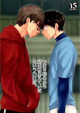 Обложка «Diamond no Ace - Tsumari Hajime kara Kekka wa Miete ita to iu wake da (Doujinshi)»