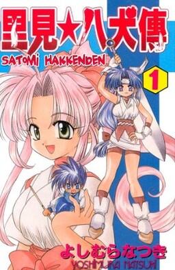 Обложка «Satomi Hakkenden»