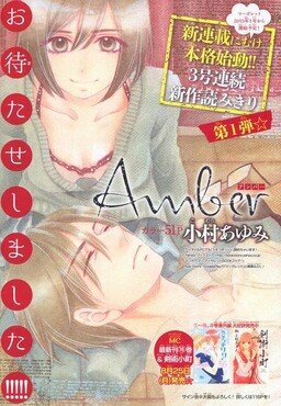 Обложка «Amber»