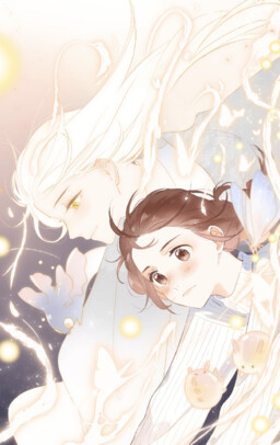 Обложка «SOS! Falling in Love With a Moth!»