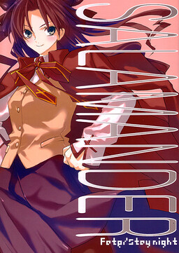 Обложка «Fate/Stay Night - SALAMANDER (Doujinshi)»