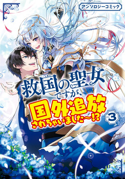 Обложка «Holy Maiden Anthology»