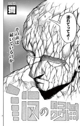 Обложка «Tomo no Hohaba»