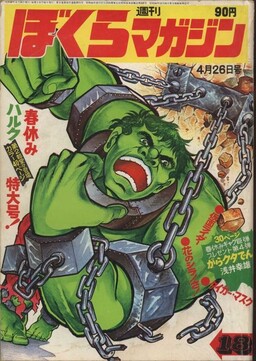 Обложка «Hulk: The Manga»