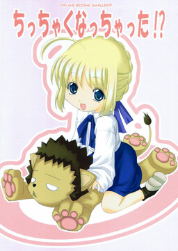 Обложка «Fate/stay night - Did she become smaller!? (Doujinshi)»