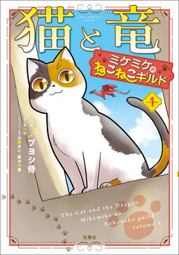Обложка «The Cat and the Dragon: Mikemike's Catcat Guild»