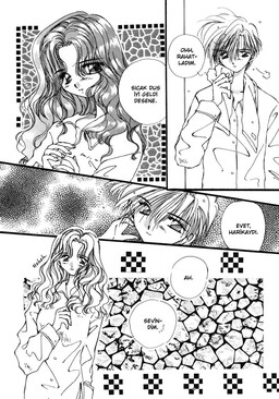 Обложка «Sailor Moon - How many times must I... (Doujinshi)»
