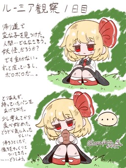 Обложка «Rumia Observation Diary (Touhou Project)»