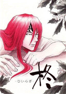 Обложка «Bleach - Hiiragi (Doujinshi)»