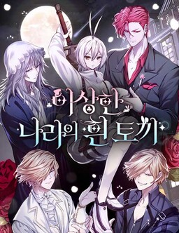 Обложка «White Rabbit in Wonderland»