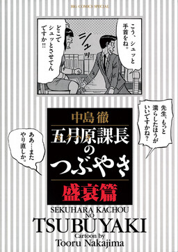 Обложка «Chief Satsukihara’s Tweet»