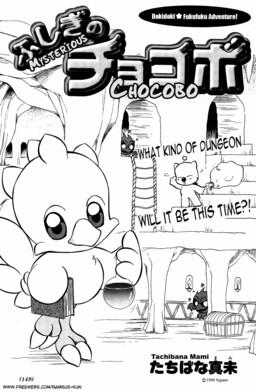 Обложка «Mysterious Chocobo»