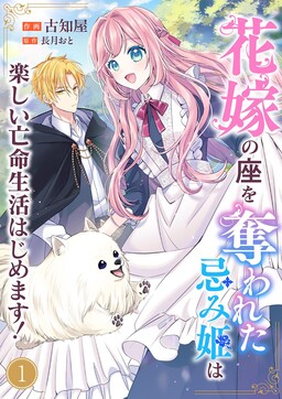 Обложка «After Having Her Bride Seat Stolen, the Cursed Princess Begins a Fun Exile Life!»