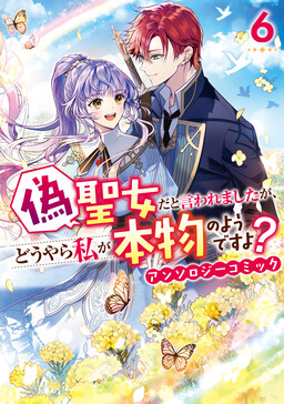Обложка «False Holy Maiden Anthology»