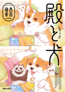 Обложка «Lord X Dog»