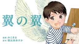 Обложка «Tsubasa No Tsubasa»