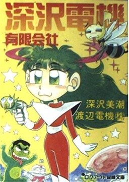 Обложка «Fukasawa Electric Co., Ltd.»