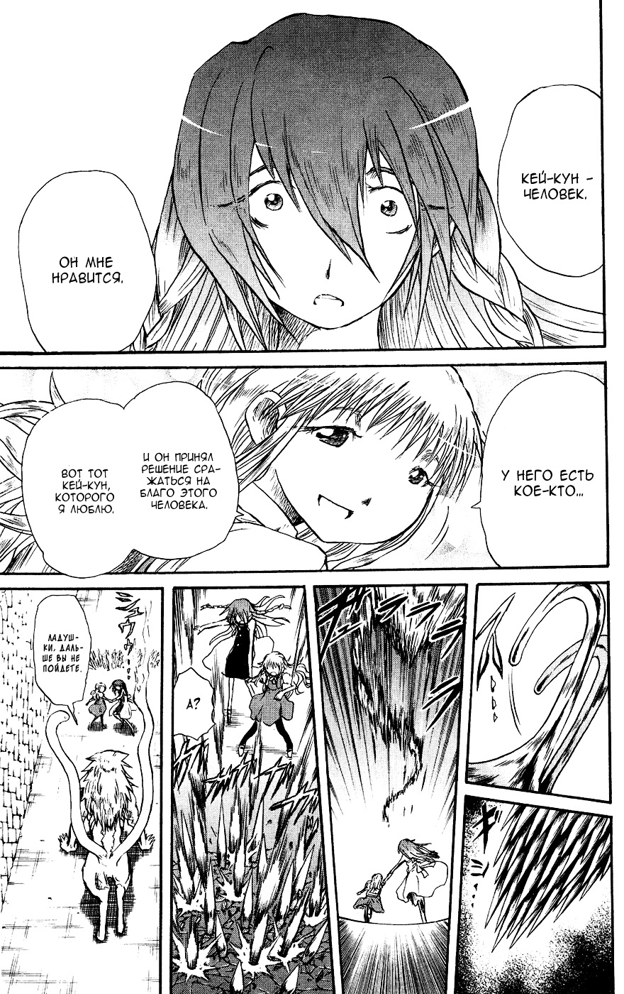 Страница 13 из 21