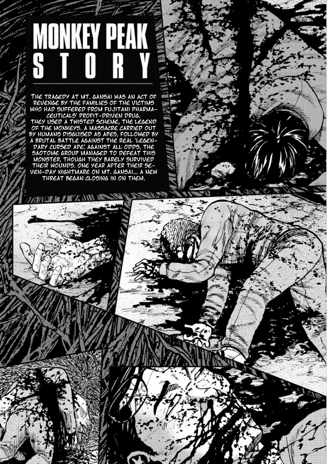 Страница 5 из 41