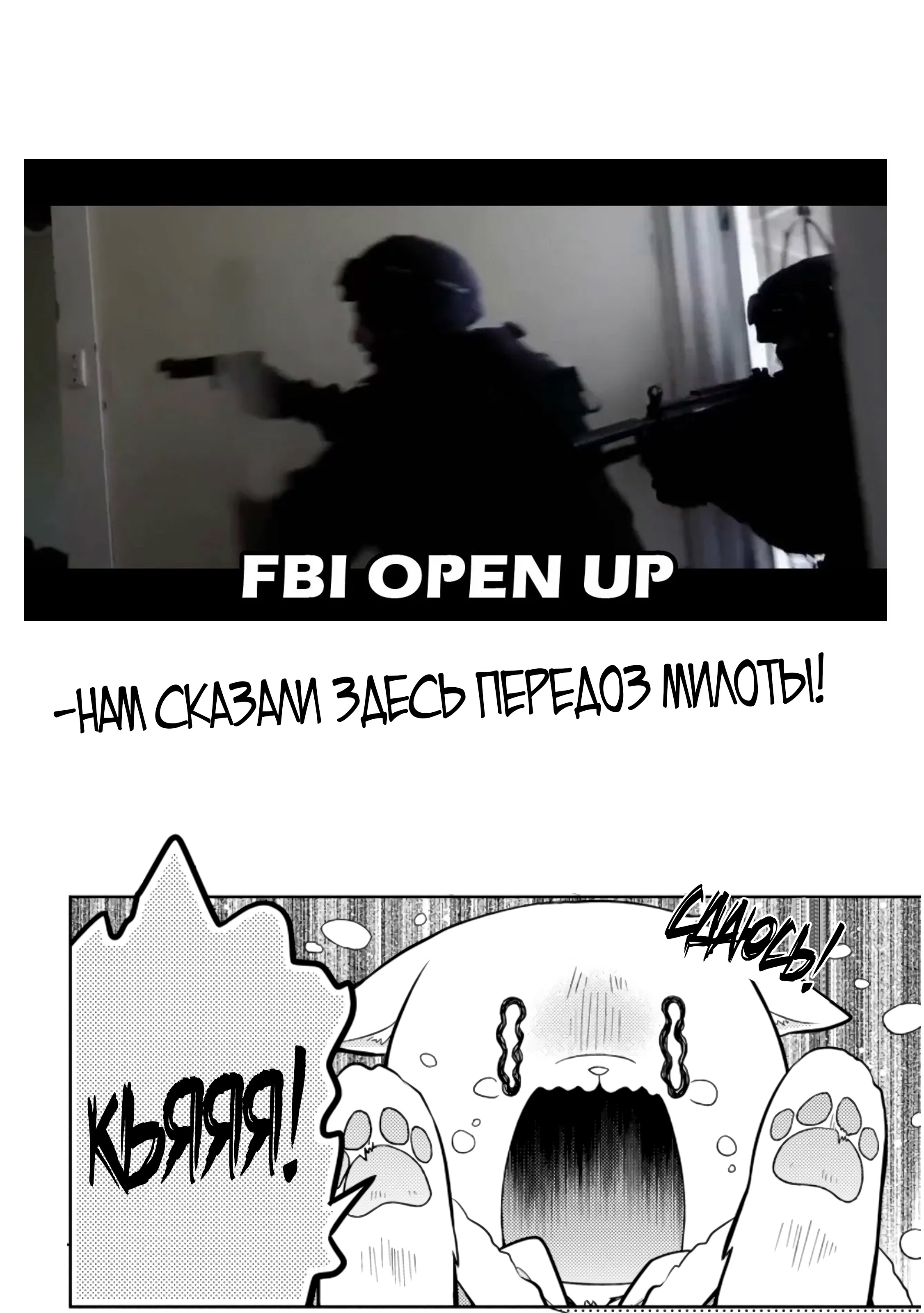 Страница 12 из 13
