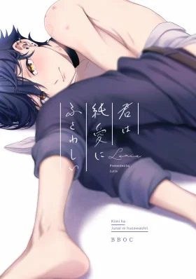 Обложка «Ты достоин чистой любви | Kimi wa Junai ni Fusawashii»
