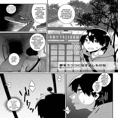 Обложка «Yume O Utsutsu Ni Nasuyo Shimogana [Yaoi] [Original]»