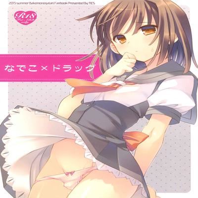 Обложка «Nadeko x Drug»