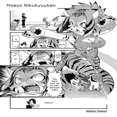 Обложка «Moeyo Nikukyuuken [Rewrite] [Original]»