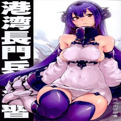 Обложка «Kouwan Nagato Heiki Enshuu»