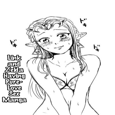 Обложка «Link To Zelda Ga Jun Ai Ecchi Suru Manga»