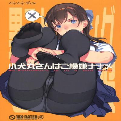Обложка «Ms.Koinumaru Is In A Bad Mood [Original]»