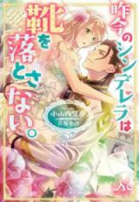 Обложка «Cinderella Did Not Leave Her Shoe (Novel)»