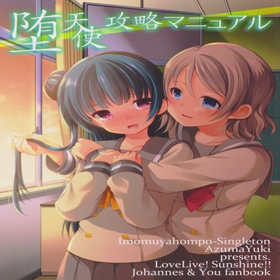 Обложка «A Manual For Capturing A Fallen Angel»