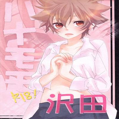Обложка «Hana Momo -Sawada-»