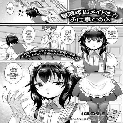 Обложка «Seiki Sakushu Maid-san Oshigoto Desu Yo [Yaoi] [Original]»