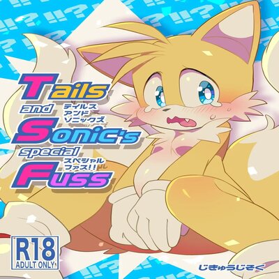 Обложка «Tails And Sonic's Special Fuss»