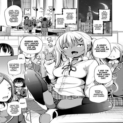 Обложка «Clumsy Succubus Lily-chan's Catastrophe [Original]»