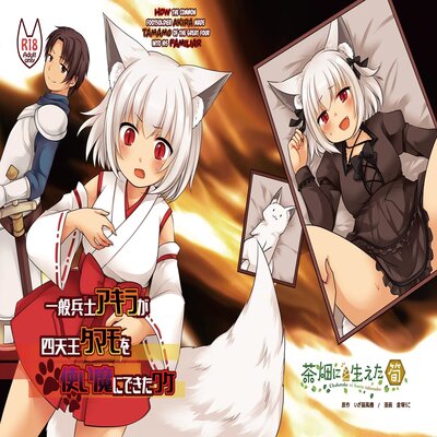 Обложка «How The Common Footsoldier Akira Made Tamamo Of The Great Four Into His Familiar [Original]»