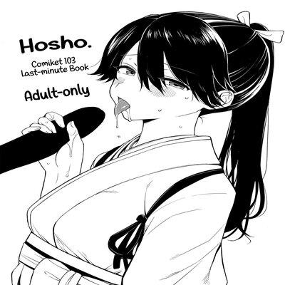 Обложка «Hosho (SAWAMURA Ao)»
