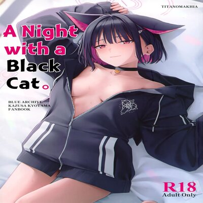 Обложка «A Night with a Black Cat»