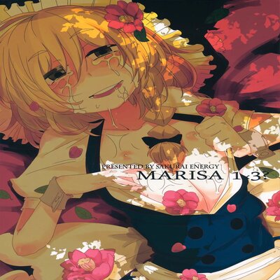 Обложка «MARISA 1x3?»