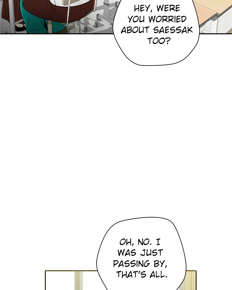 Страница 111 из 146