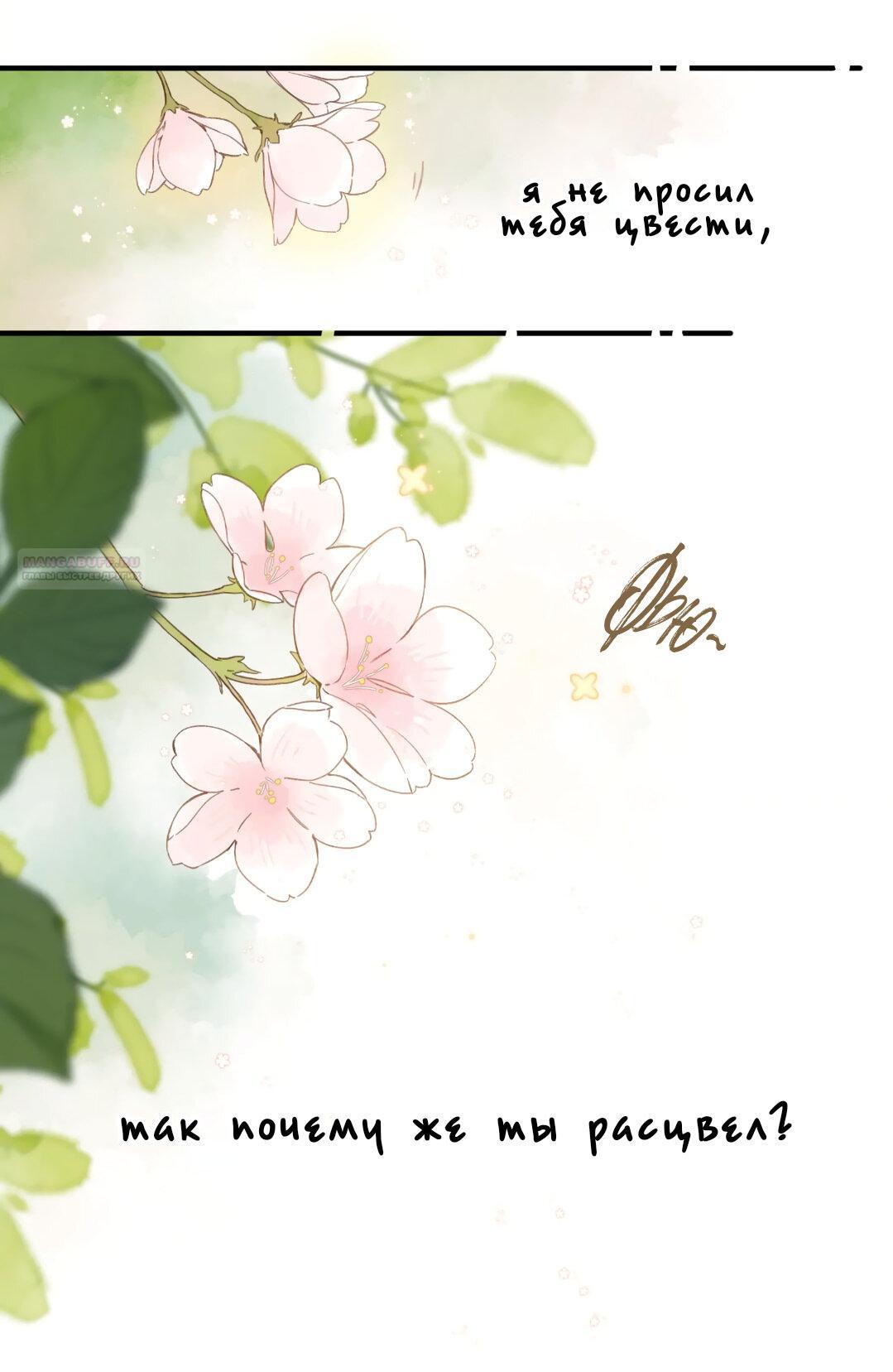 Страница 12 из 14